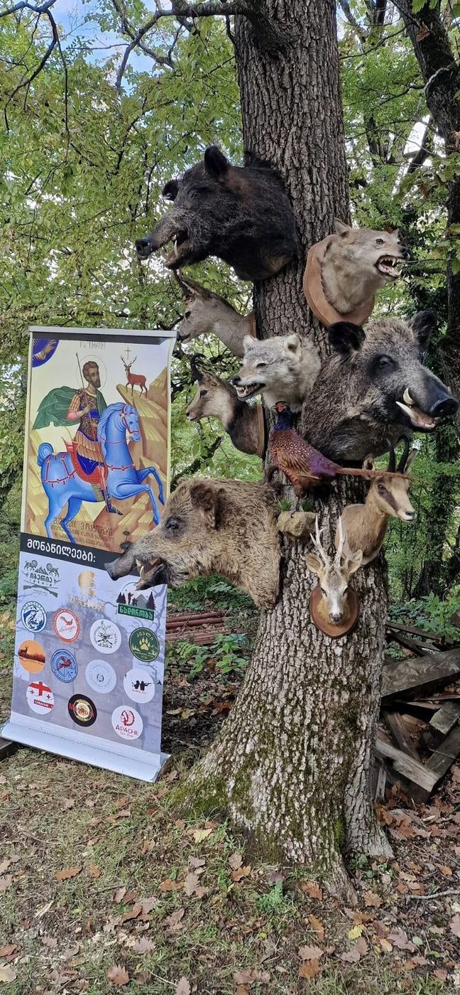 The trophy tree