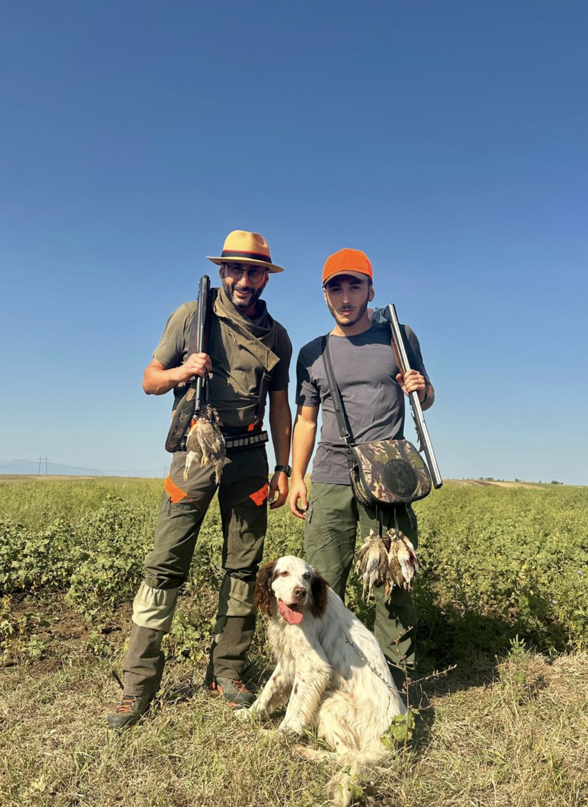 Georgia — quail hunt