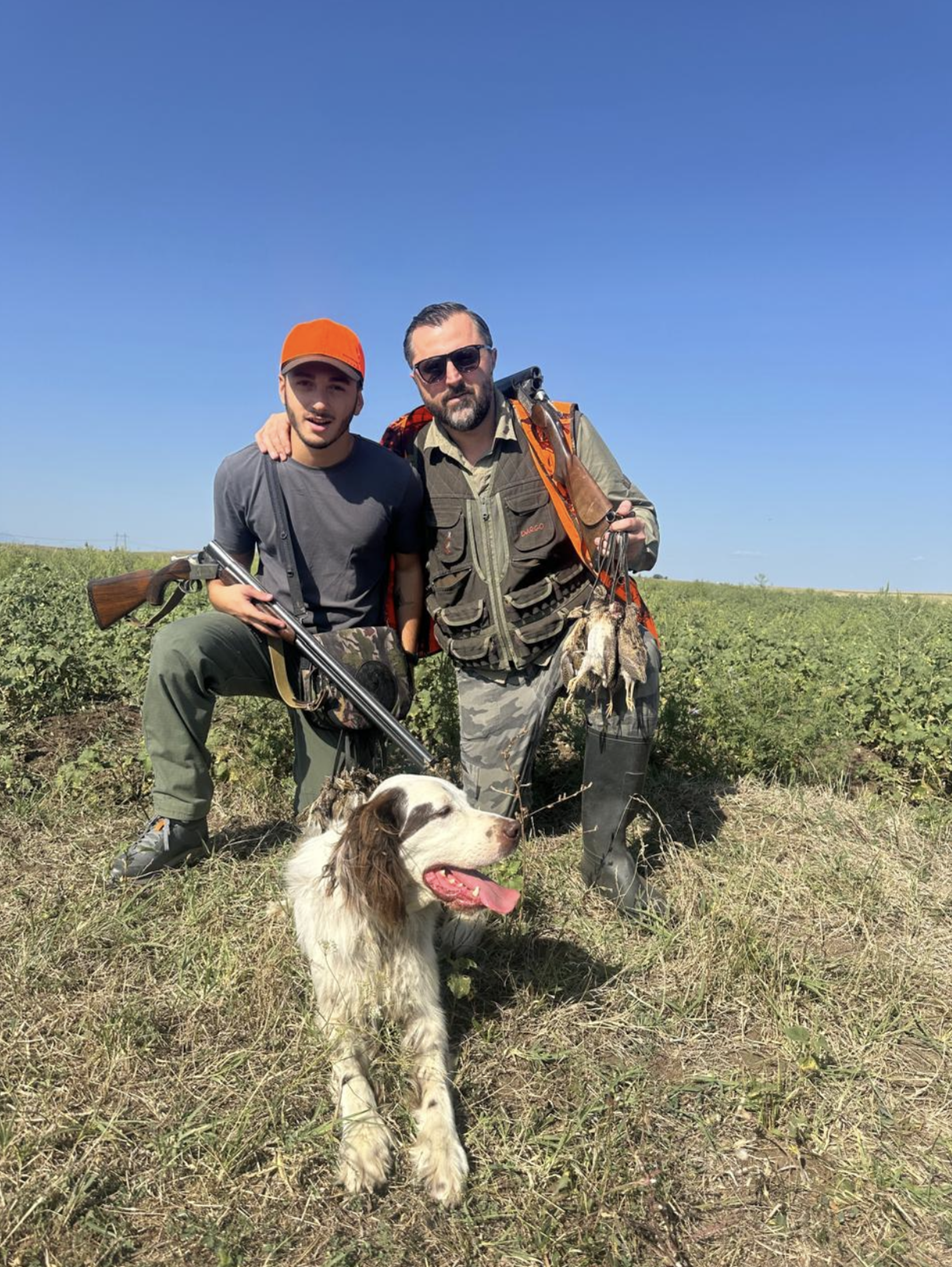 Georgia — quail hunt