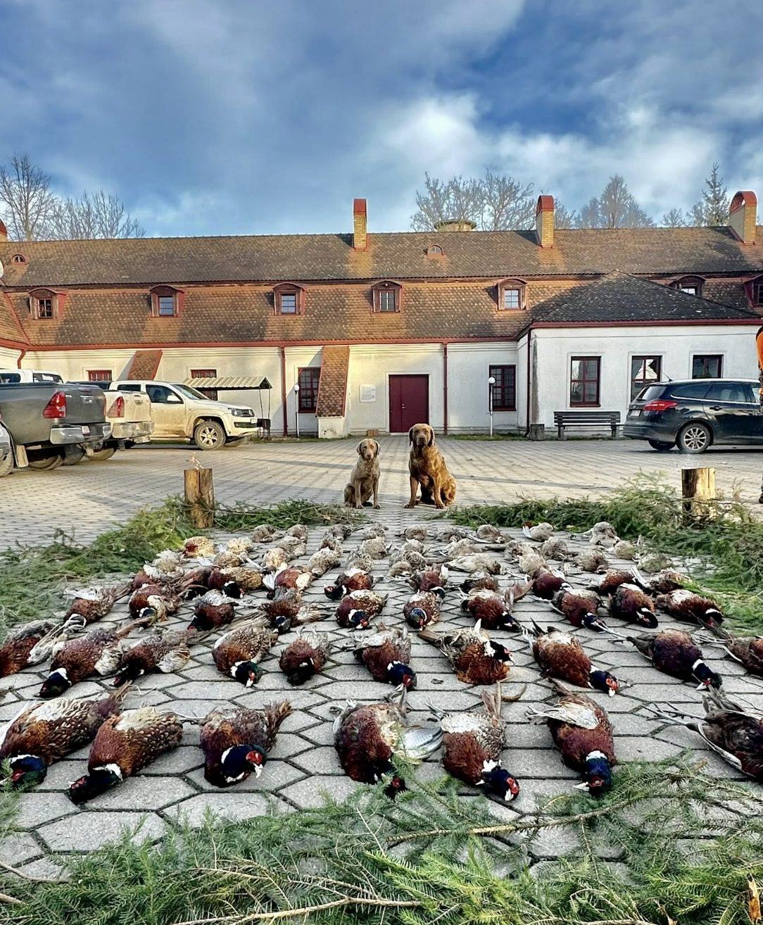 Lithuania — the manor and the dogs